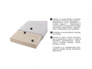 Caratteristiche materassi in lattice naturale